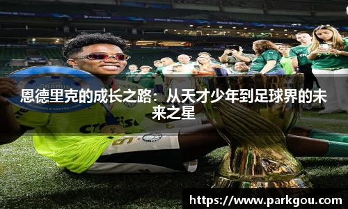 雷火电竞官网